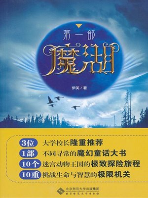 cover image of 魔湖·第一部